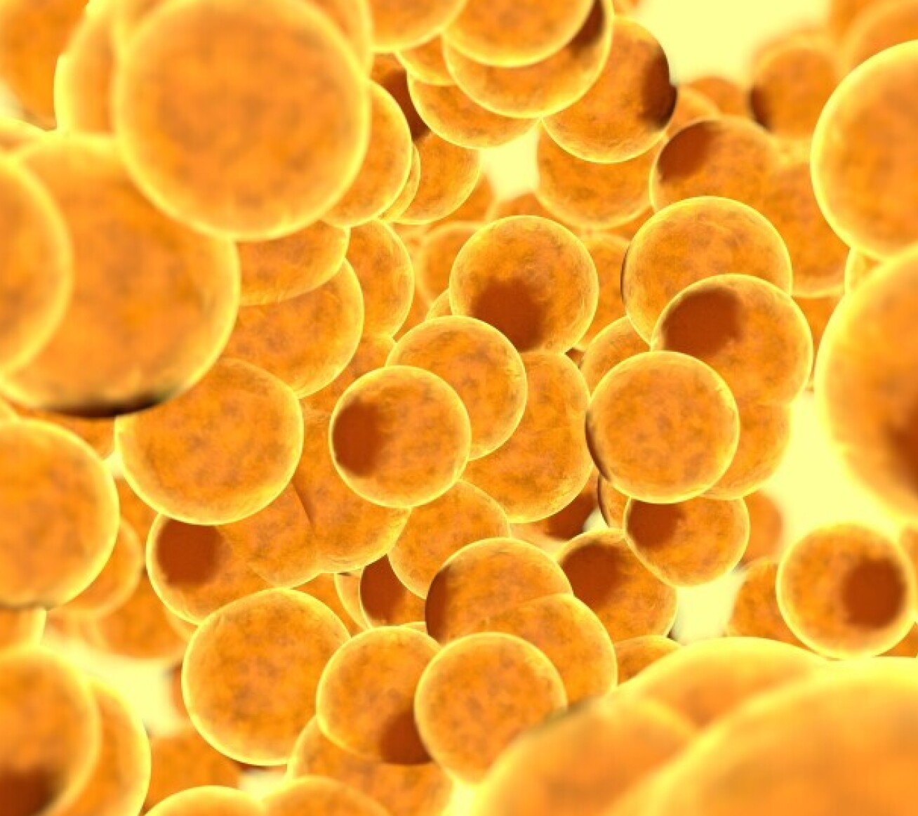 A CGI image of fat cells inside a human organism.