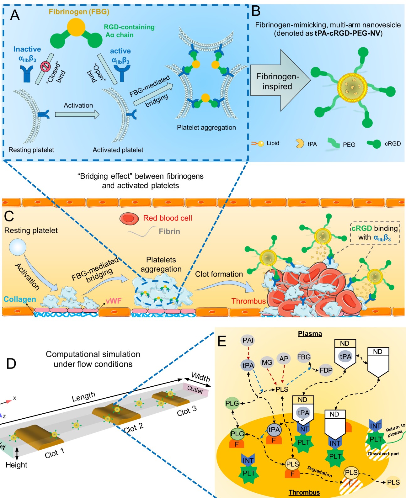 Blood Clot-busting Nanocapsules Could Reduce Existing Treatment’s Side ...