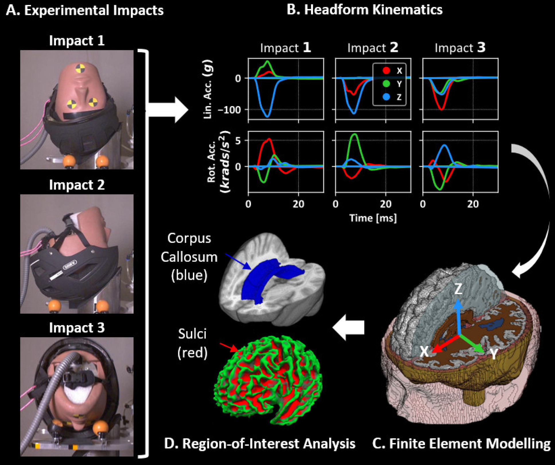 New Testing For Bike Helmets Accounts For Head Injuries Sustained At ...