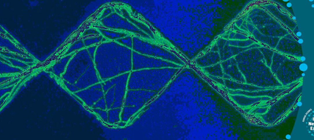 green image of a fungi on blue background; featuring our Network's logo showing we are a Network of Excellence