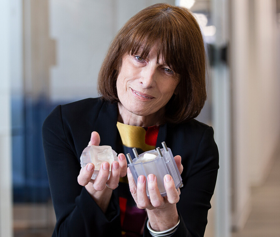 Portrait of Prof Gordana Vunjak-Novakovic