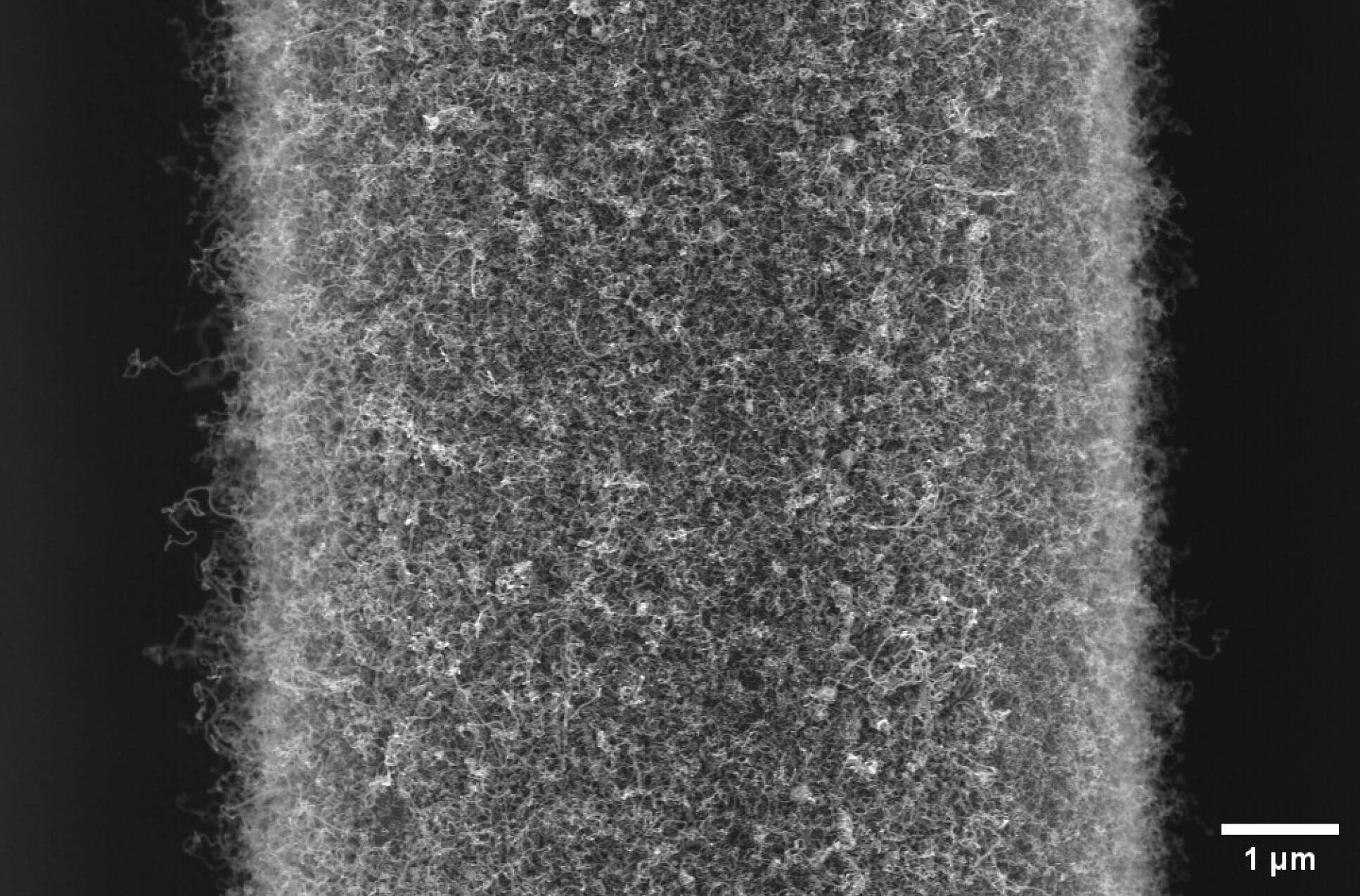The image showcases "Fuzzy" carbon fibre, an advanced material engineered by directly synthesizing carbon nanotubes (10 nm diameter) onto carbon fibres.