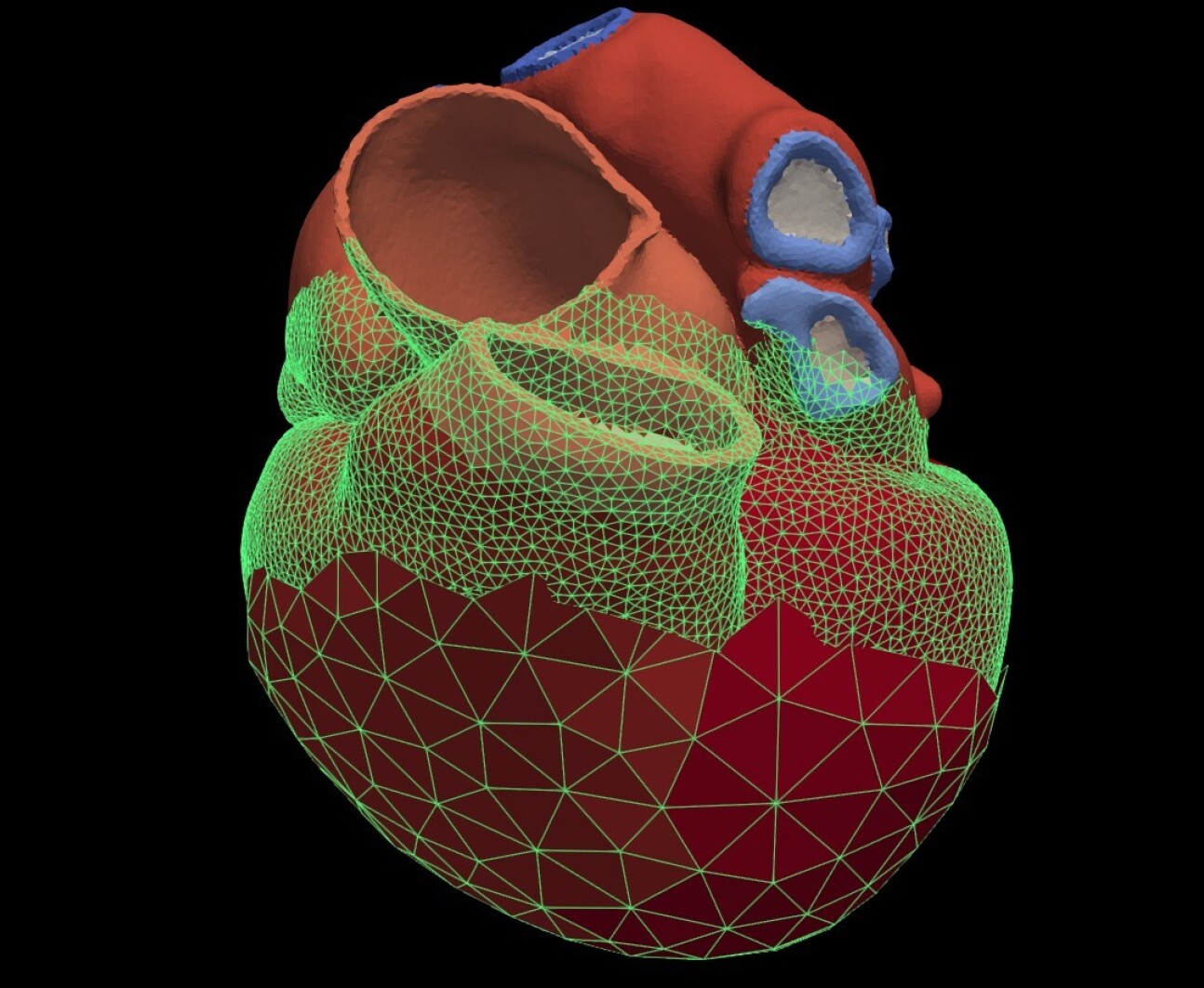 CGI picture of a human heart.