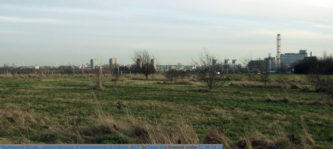 Image of Wormwood Scrubs landscape of greenery with the city buildings behind