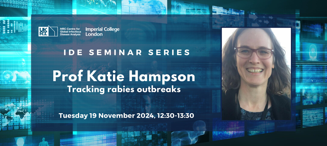 IDE Seminar Prof Katie Hampson