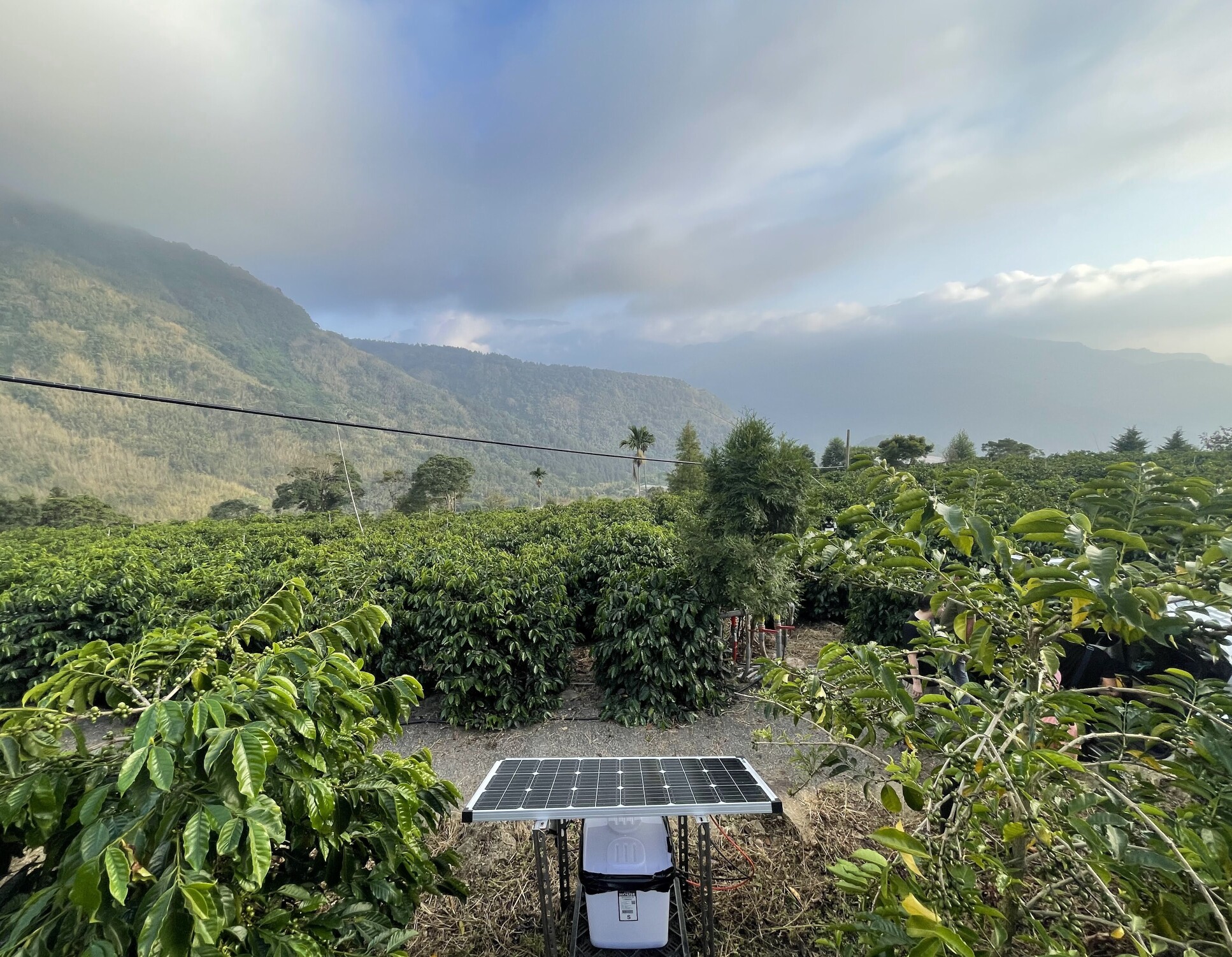 Bugg device deployed in Taiwan (Alishan mountains).