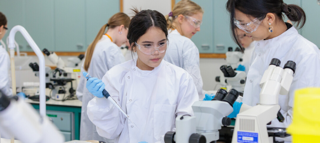 Two students working together during summer school session