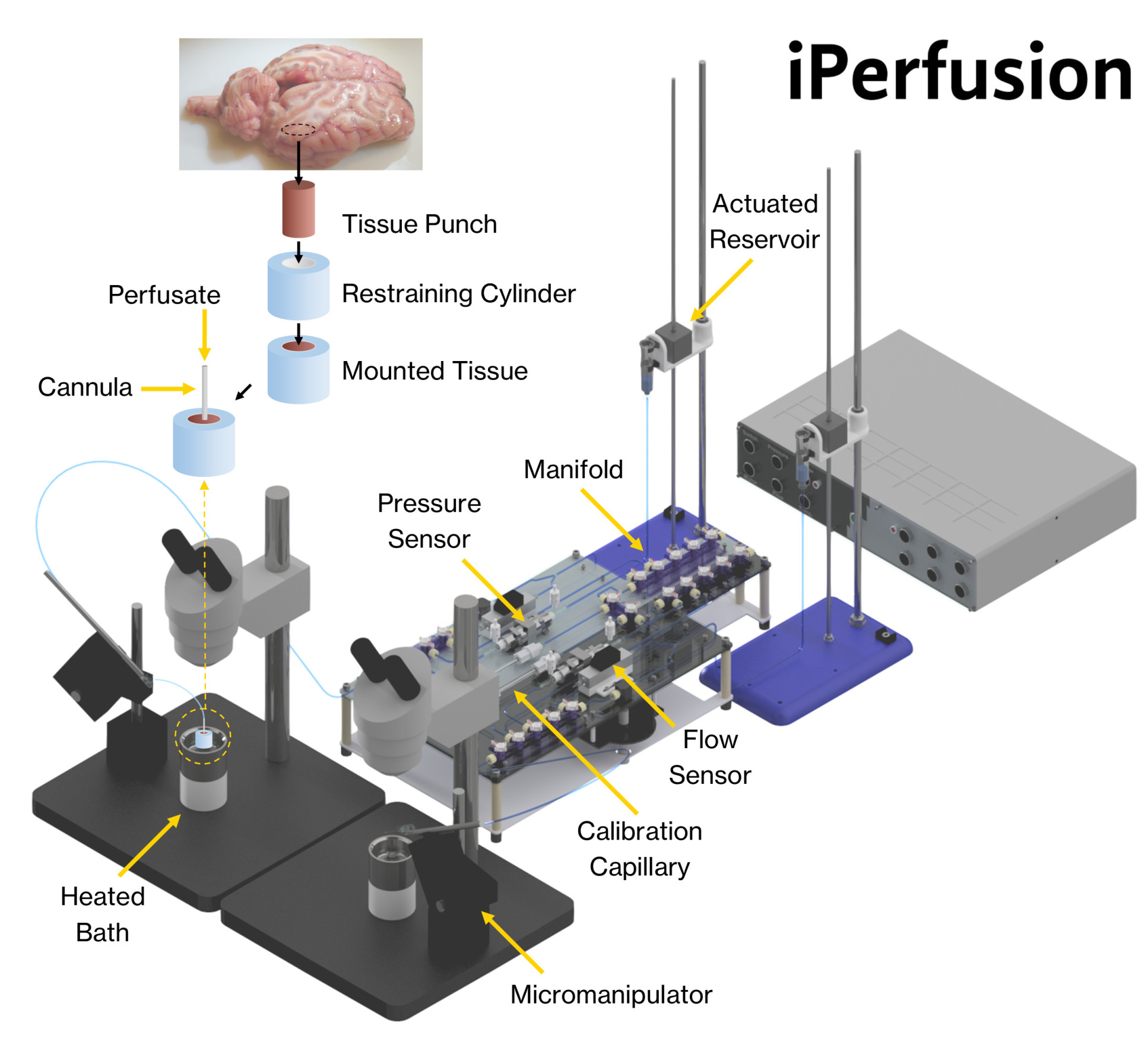 iPerfusion setup, detailing how the parts come together