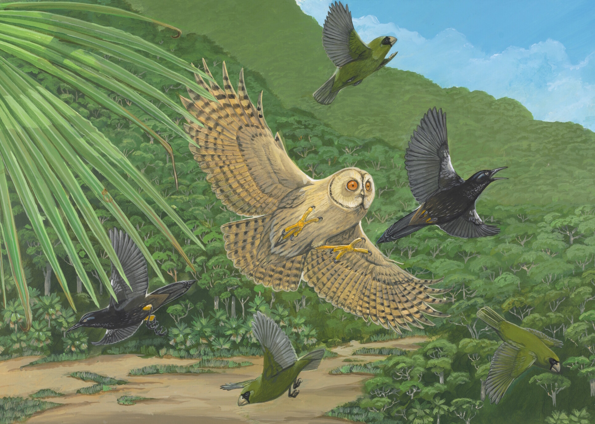 Illustration of 6 birds in a tropical landscape