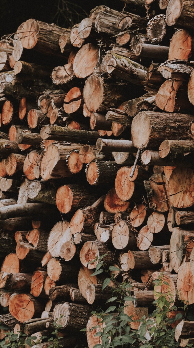 Logs piled up on top of eachother