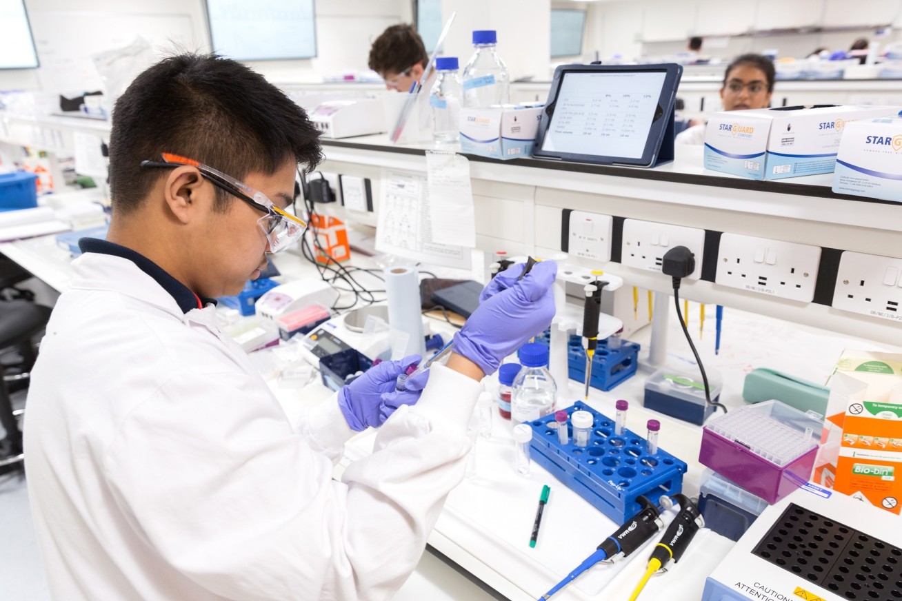 Medical Biosciences students work in the laboratory (image taken prior to Covid-19 restrictions) 