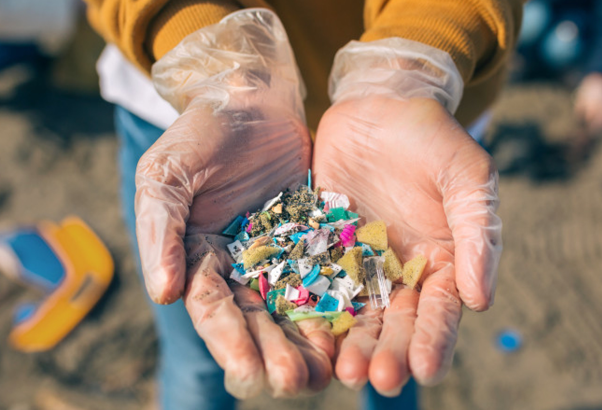 Microplastics collected on a beach