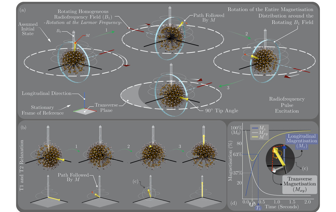 X-Ray To MR: The Progress Of Flexible Instruments For Endovascular ...