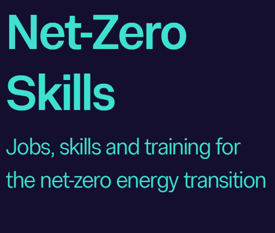 NetZero