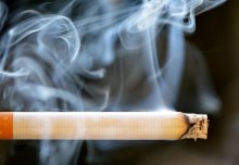 WHO World No Tobacco Day: why the key to quitting smoking could lie in our guts