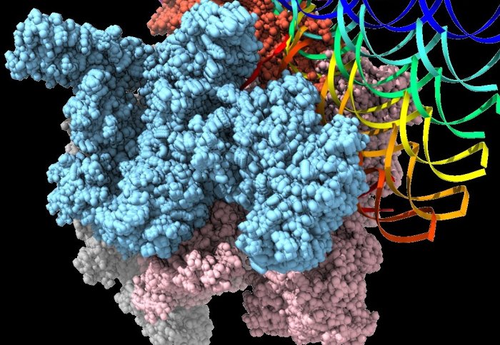 Proteins interacting with DNA