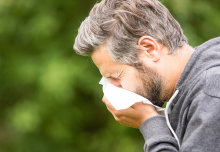 How protein fragments could help to tackle the cause of hay fever 
