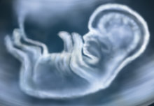 New technology can keep an eye on babies' movements in the womb 
