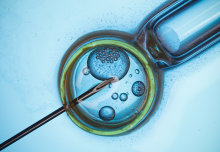 40 years of IVF: How Imperial has made an impact in IVF 