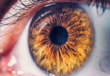 Glaucoma hope from turmeric eye drops