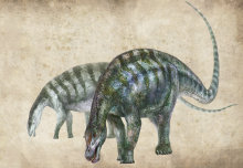 New dinosaur species named ‘amazing dragon from Lingwu’ discovered in China