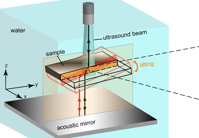 Direct volumetric measurement of crystallographic texture using acoustic waves