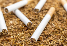 Cigarettes have a significant impact on the environment, not just health