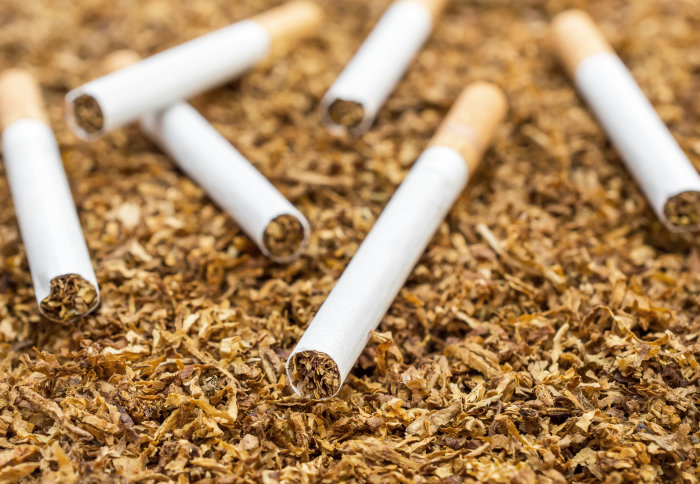 Cigarettes have a significant impact on the environment, not just health, Imperial News