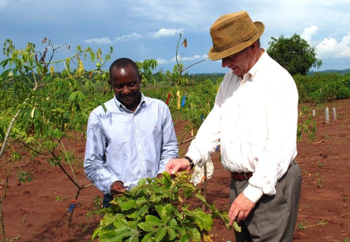 Working with farmers growing lime trees in Uganda
