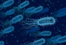 Mathematical approach to predicting bacterial growth offers fresh AMR insights