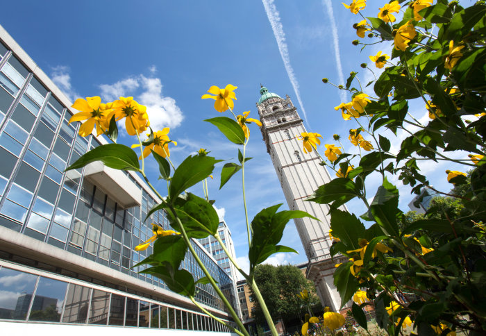 Queen's Tower viewed from below with yellow flowers in the foreground.