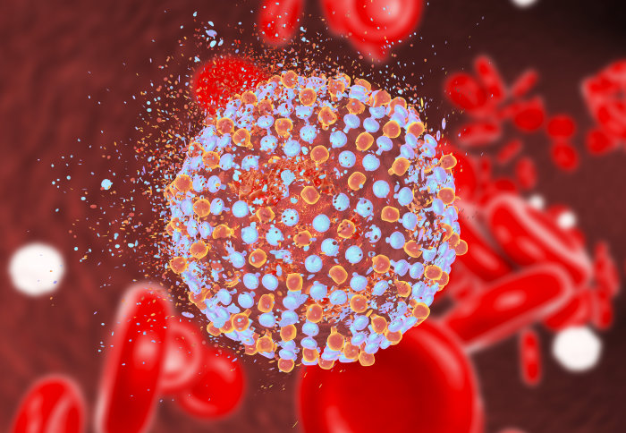 Destruction of hepatitis C virus, 3D illustration