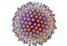 Hepatitis C programmes could save 1.5 million deaths by 2030