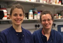 Double success for the CMBI with the award of two Marie Curie Fellowships