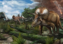 Dinosaurs were thriving before asteroid strike that wiped them out