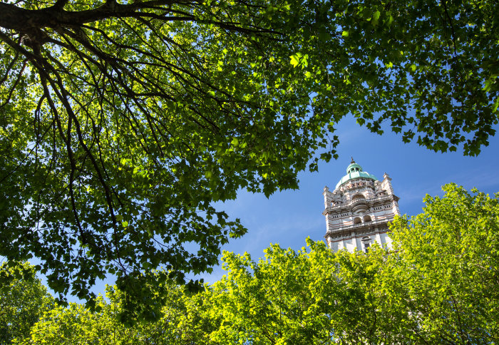 Queens tower and trees