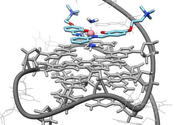 An model of the interactions between the cobalt-salphen molecule and G4-DNA generated by molecular docking