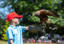 Bugs! Day expands to include Birds and Beasts with roaring success