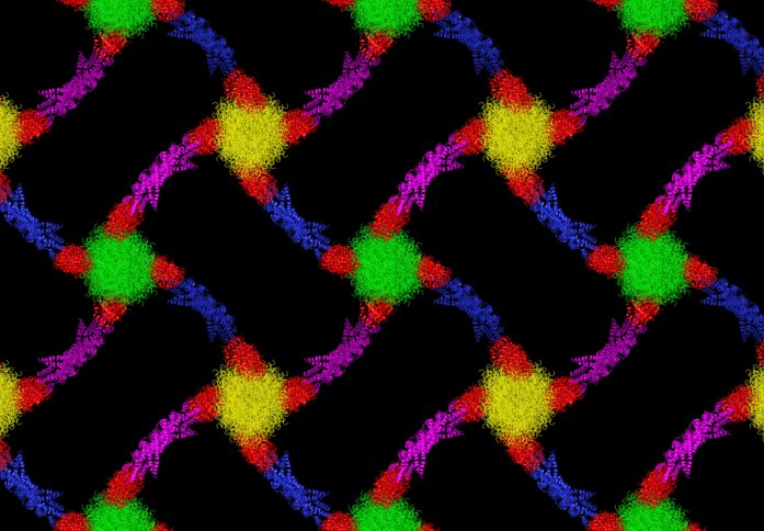 A colourful lattice structure generated from scans of the midshipman fishes 'sonic' muscle