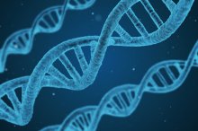 DoC researchers to lead a research project on DNA storage & computation