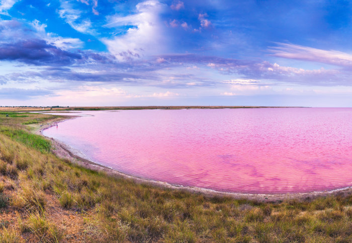 Panorama of a pink lake