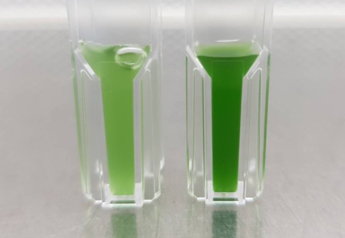 Two vials of green liquid; left lighter than right