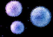 Coronavirus fatality rate estimated by Imperial scientists 