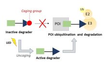 A caged E3 ligase ligand for PROTAC-mediated protein degradation