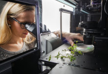 #INWED20: Female scientists leading the way in Bioengineering research