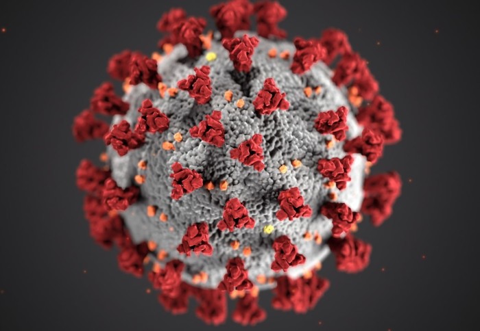 An image of a virus