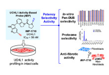 Discovery of a potent and selective covalent inhibitor of UCHL1