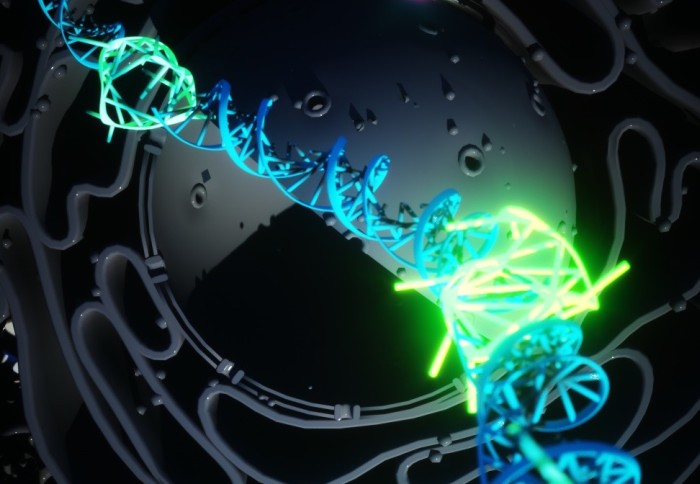 Illustration of quadruple helix DNA forming within normal double helix strands. The quadruple helix complexes are glowing