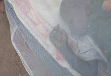 Mosquito net distribution could halve Malaria deaths in Africa during COVID-19