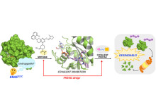 The missing link between (un)druggable and degradable KRAS